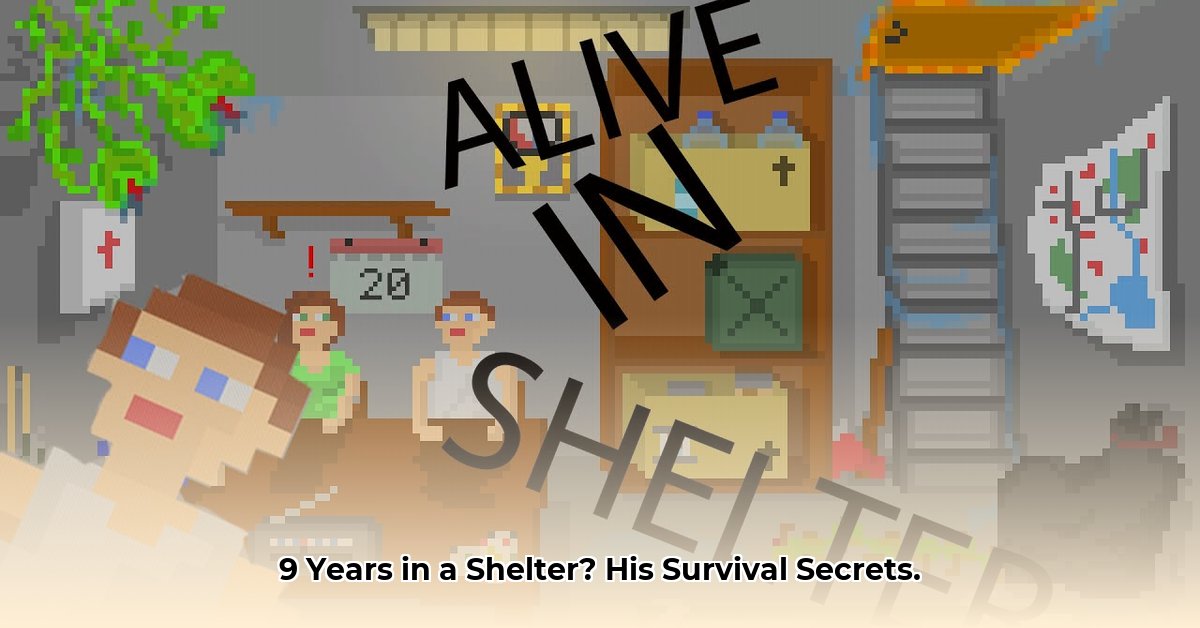 alive-in-a-shelter